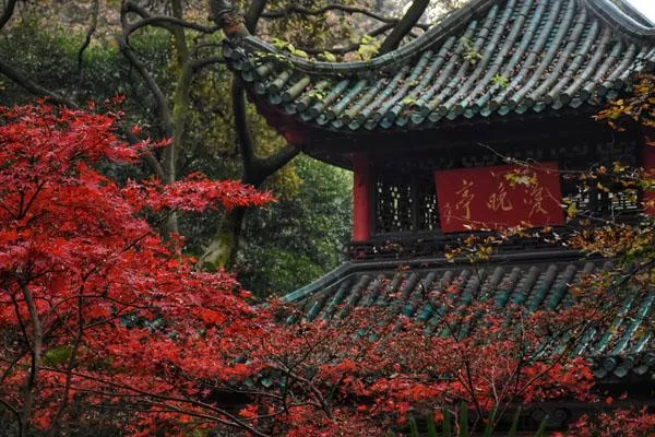 岳麓山最佳賞楓時間及賞楓地點(diǎn)